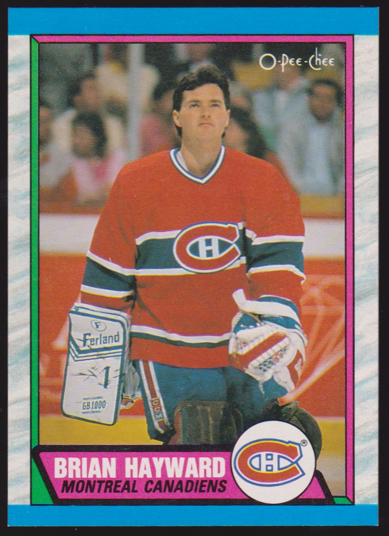 (image for) 1989-90 O-Pee-Chee #237 Brian Hayward