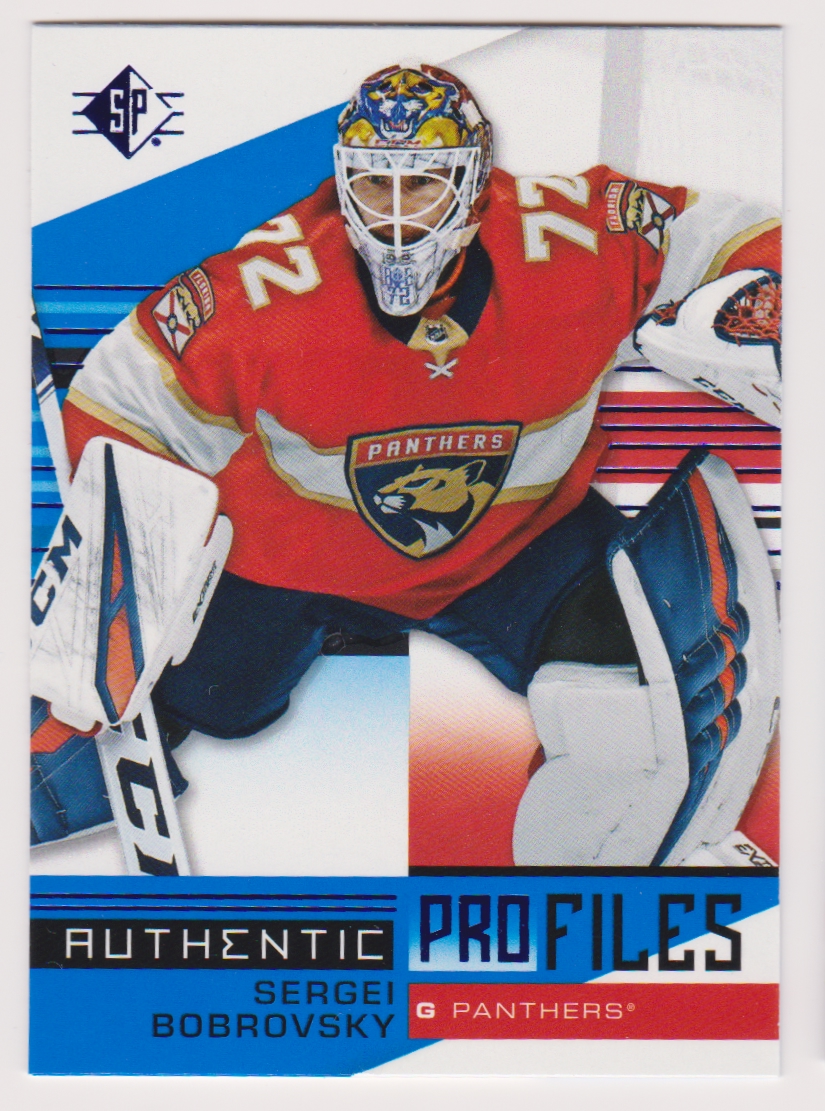 (image for) Authentic Profiles - Blue