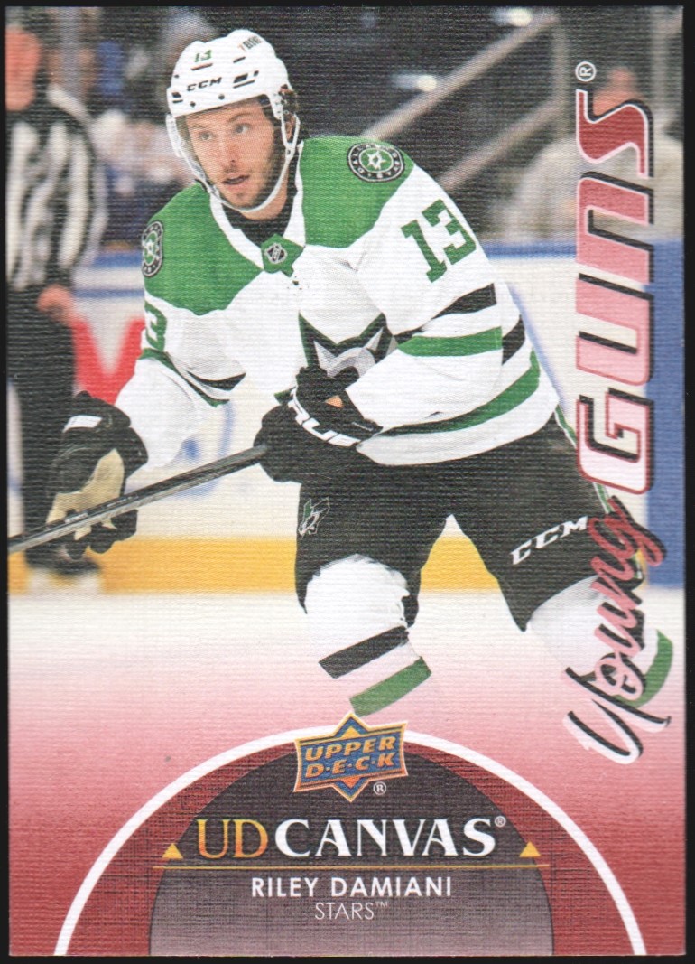 (image for) 2021-22 Upper Deck Canvas #C364 Riley Damiani YG